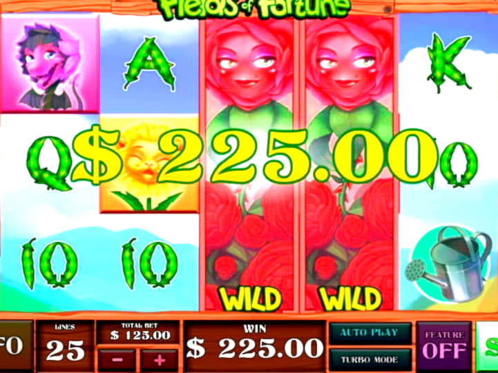 95 FREE Spins at Estonia Casino 