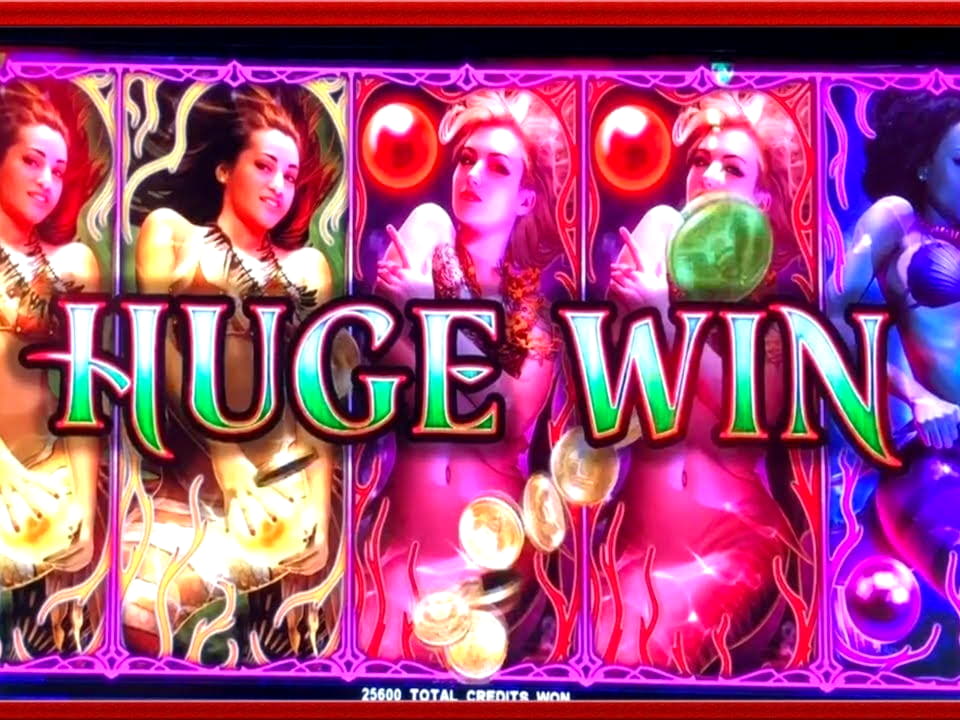 285 free casino spins at Oshi Casino
