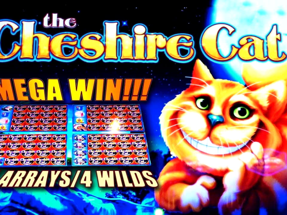 35 free spins at Loki Casino