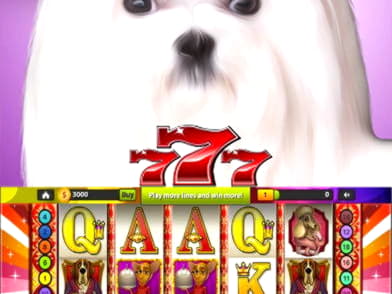 €4040 No deposit casino bonus at Spartan Slots Casino