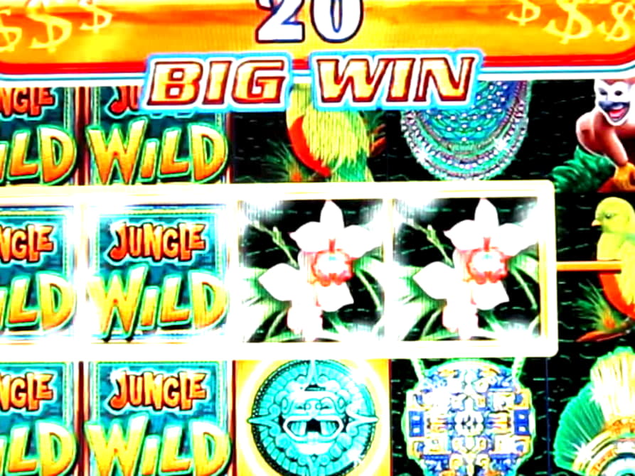 325% Welcome Bonus at Bet Hard Casino