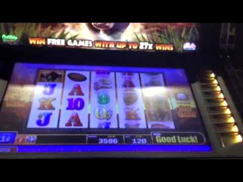 270 free spins at Wish Maker Casino