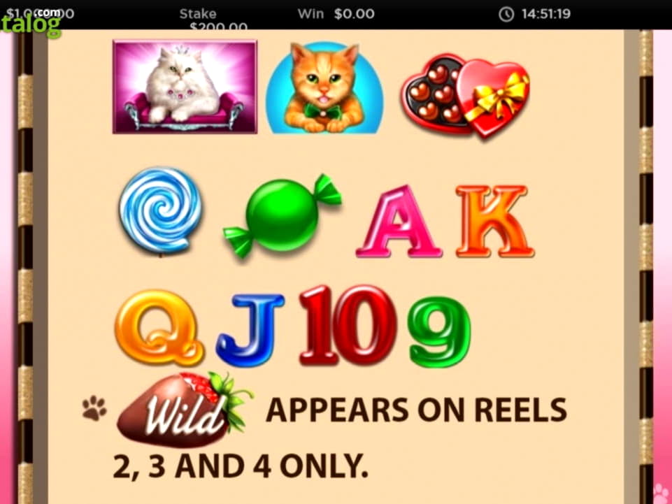45 Free spins no deposit casino at Bet Hard Casino