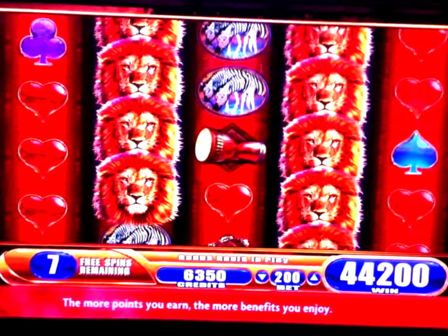 655% No Rules Bonus! at Platinum Play Casino