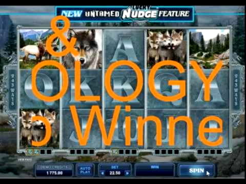 445% Match bonus at Dunder Casino