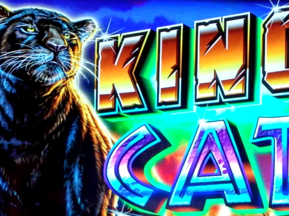 145 Free Spins no deposit at bWin Casino