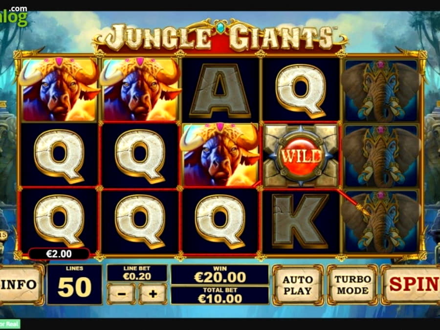 560% Match at a Casino at Bet Hard Casino