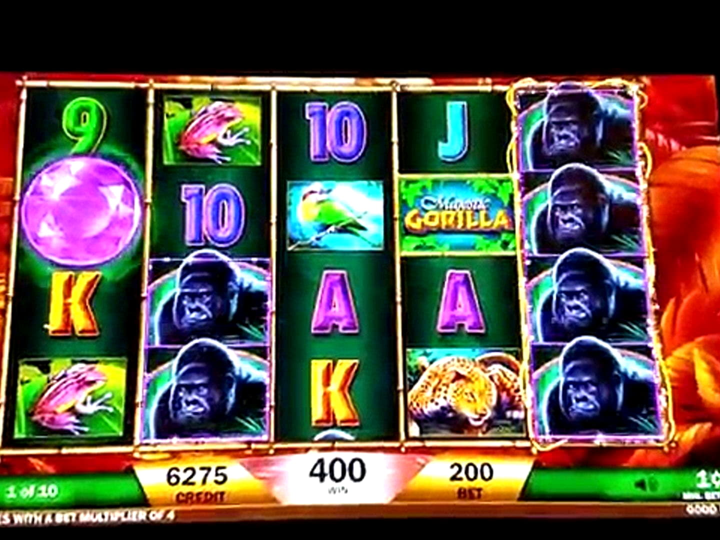 185 FREE SPINS at LV Bet Casino
