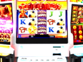 11 Free Spins no deposit at Spin Palace Casino