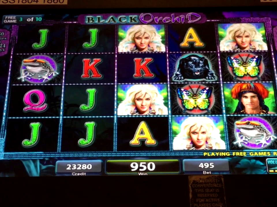 815% No Rules Bonus! at Video Slots Casino