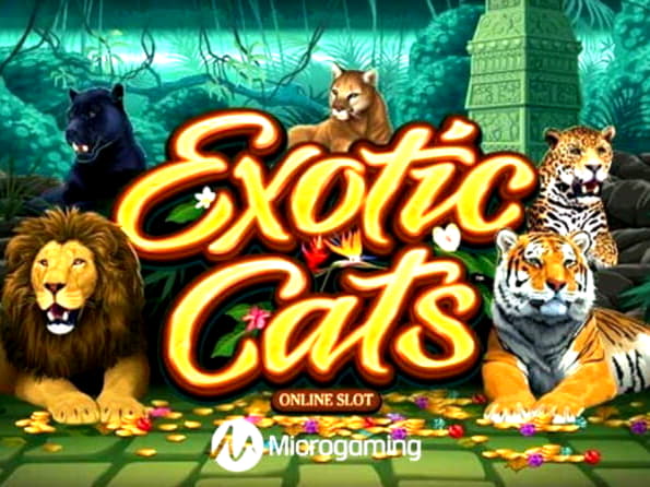 $475 no deposit bonus code at Video Slots Casino