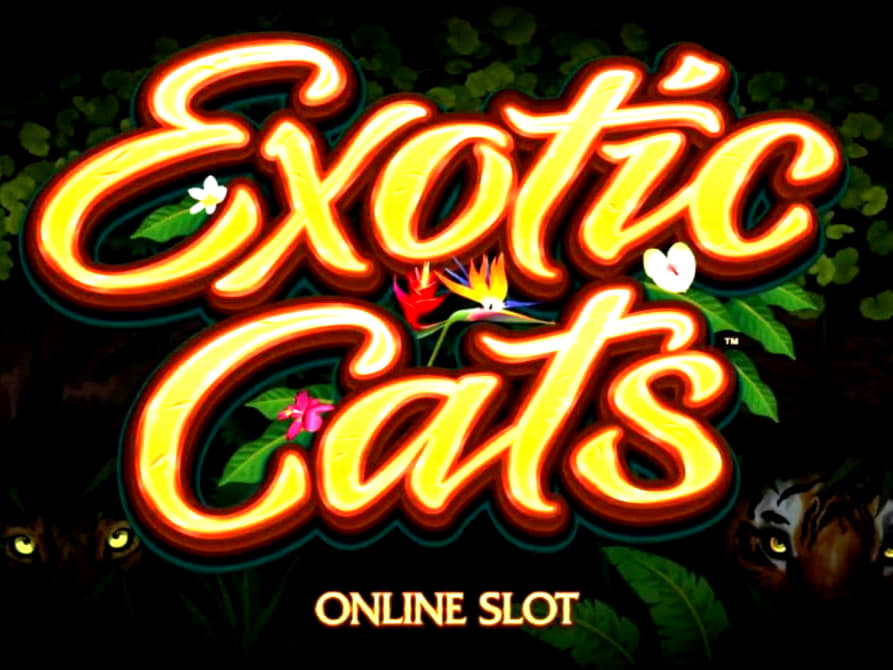 Eur 3520 no deposit bonus at Rizk Casino