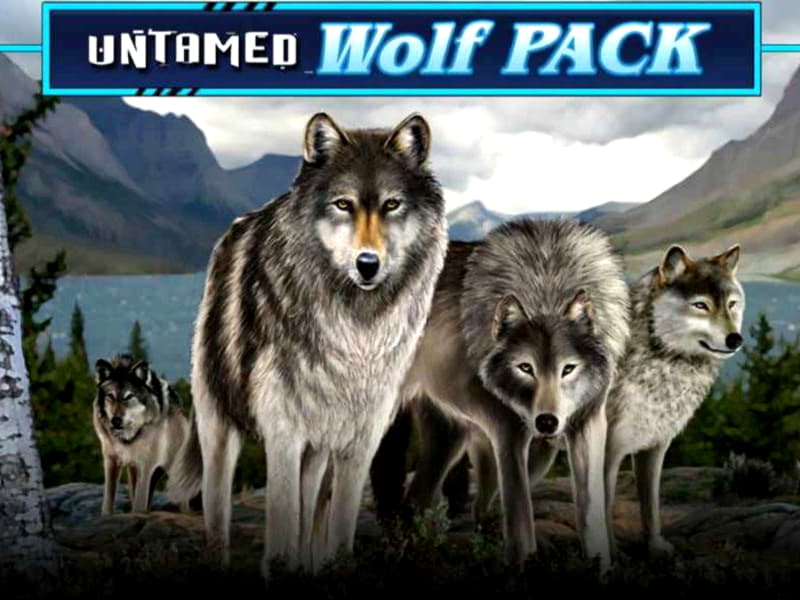 Eur 415 free chip at Slotty Vegas Casino