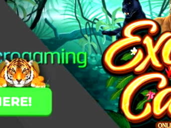 455% Match at a casino at Dunder Casino