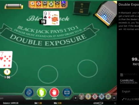 €3725 No Deposit Bonus at Platinum Play Casino
