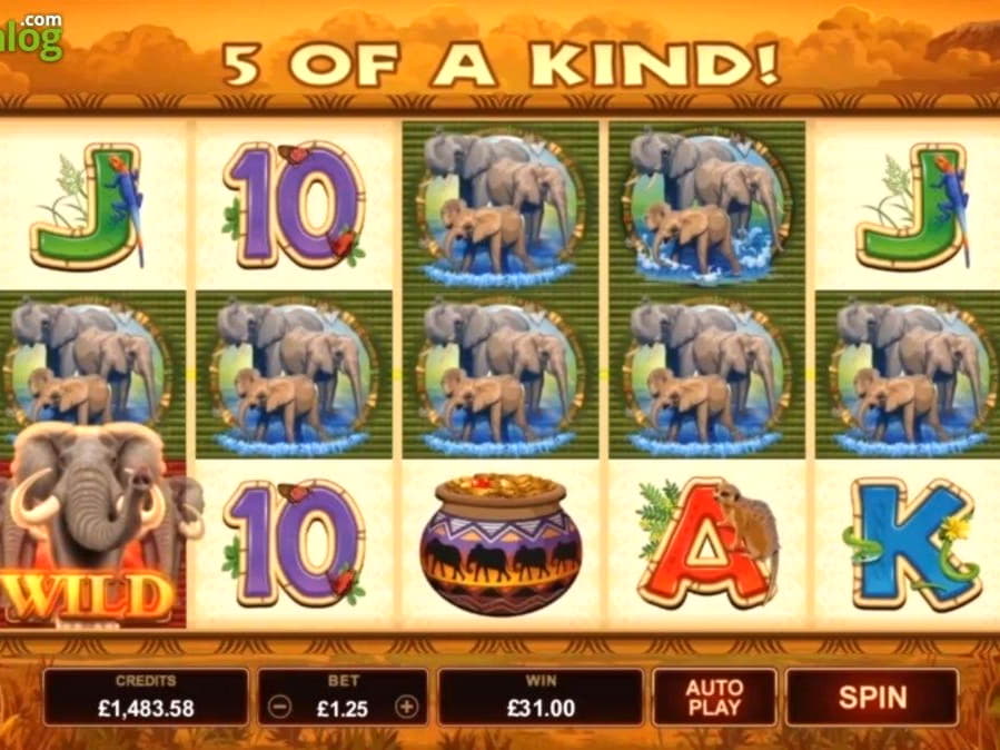 €300 casino chip at Bet Hard Casino