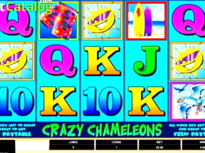 215 FREE SPINS at Casino Cruise