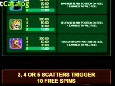 EUR 560 Casino Tournament at Wish Maker Casino