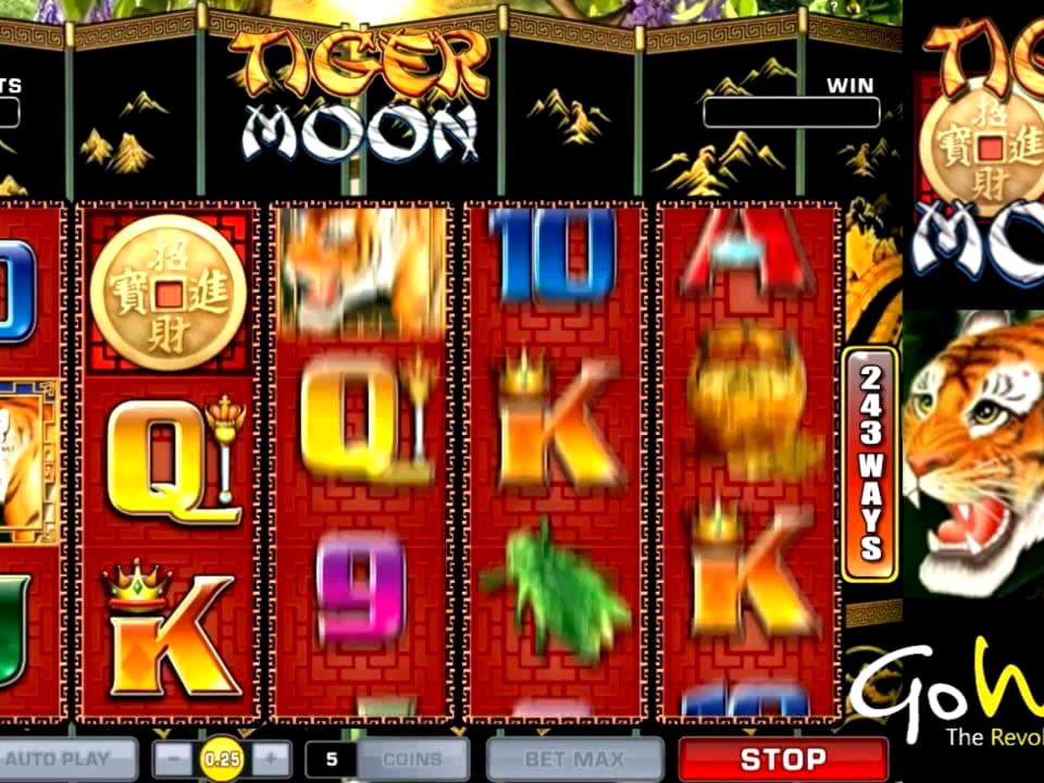55 Free spins no deposit casino at CasiPlay Casino