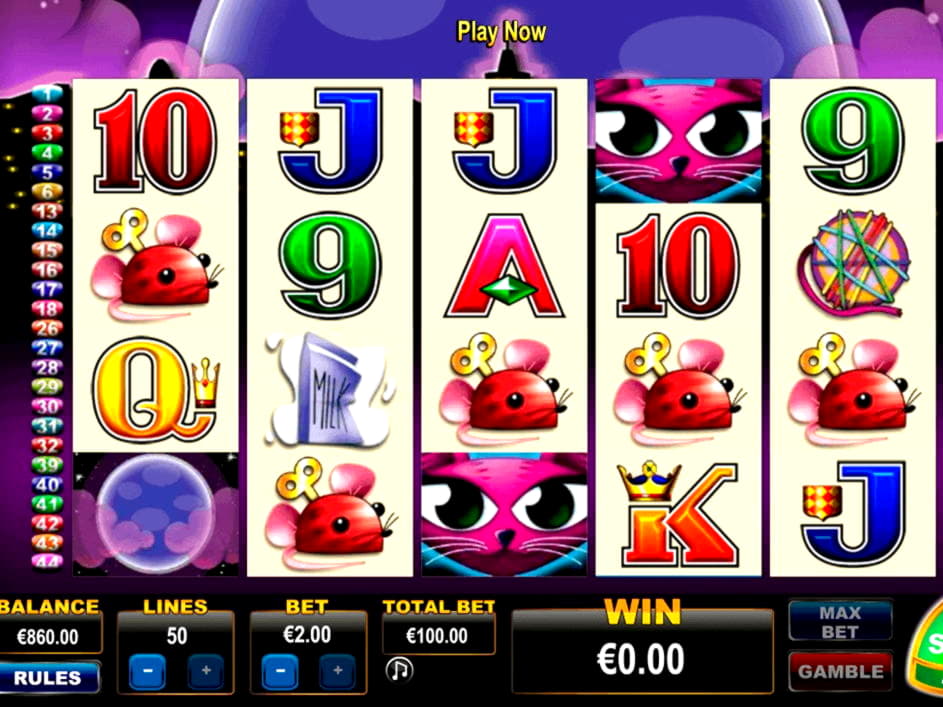 £160 Daily freeroll slot tournament at Estonia Casino 