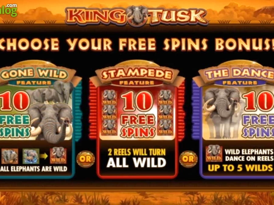$970 Daily freeroll slot tournament at Platinum Play Casino