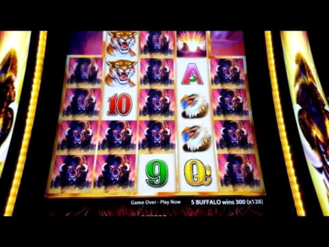 $875 Online Casino Tournament at Omni Slots Casino