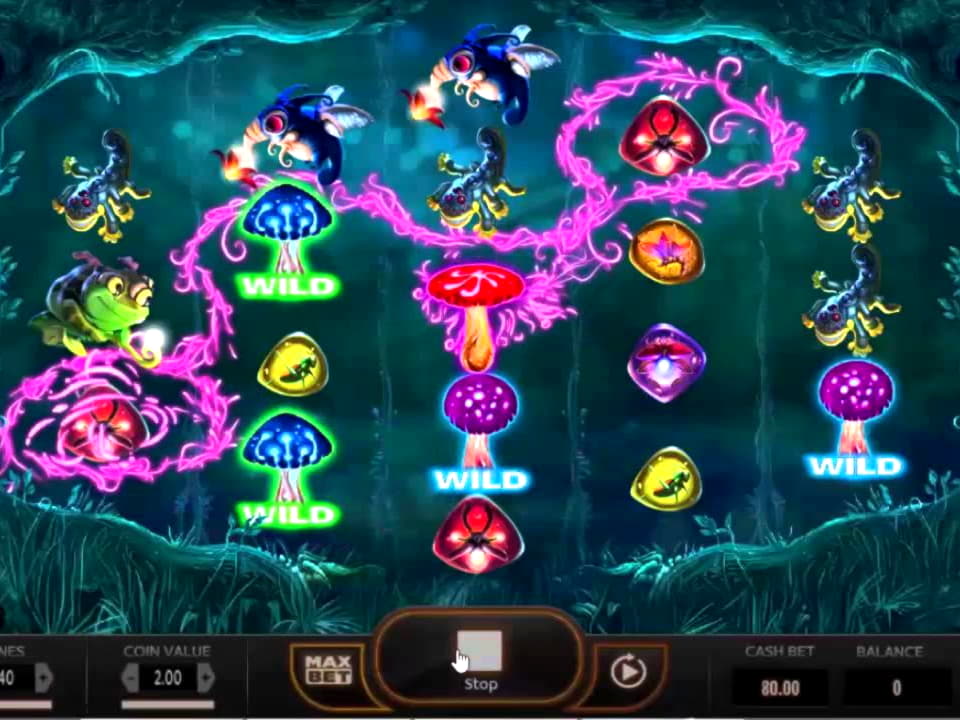 220% Casino Welcome Bonus at Dunder Casino