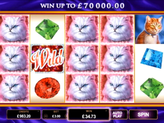 670% Signup casino bonus at Platinum Play Casino