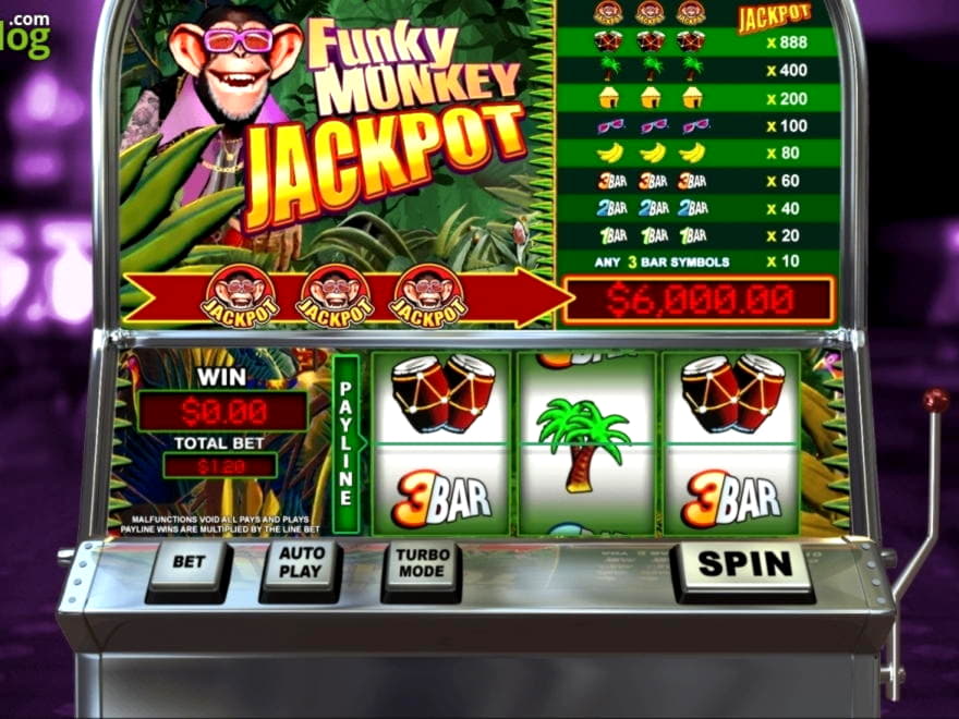 33 free spins no deposit at Platinum Play Casino