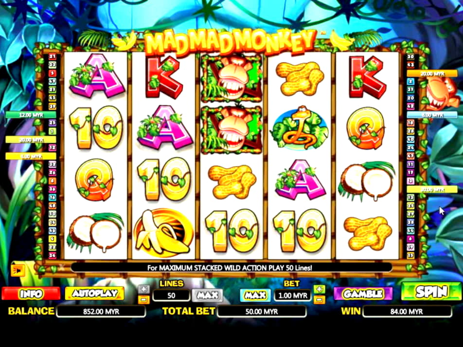 EUR 510 Tournament at CasiPlay Casino