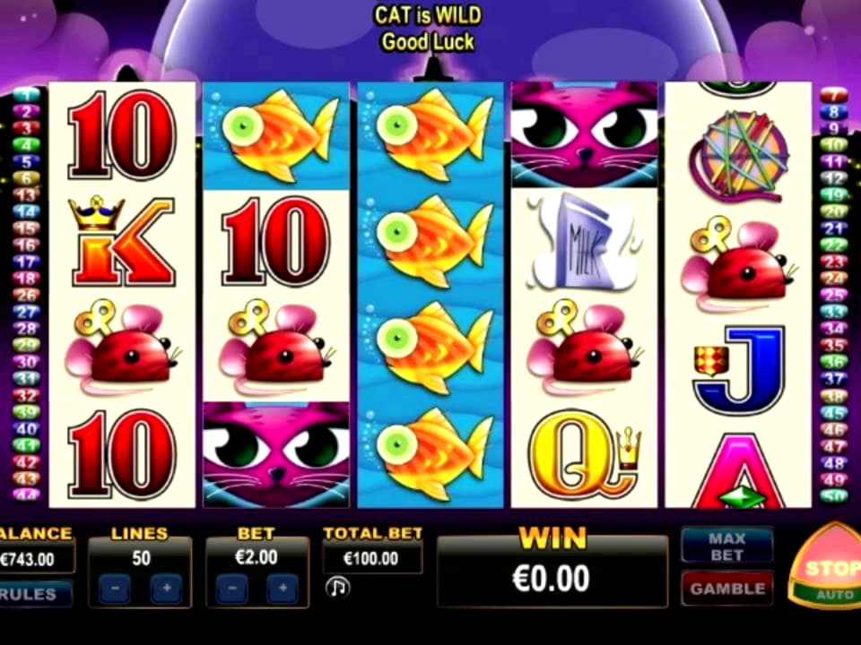 £580 Daily freeroll slot tournament at Loki Casino