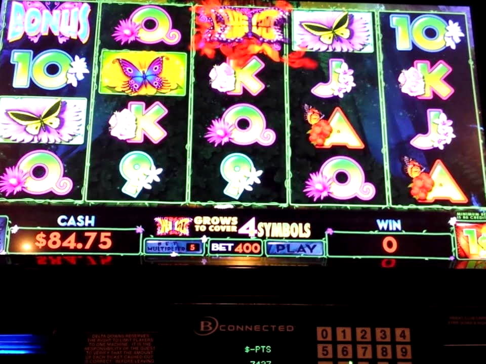 55 Free Spins at Rizk Casino