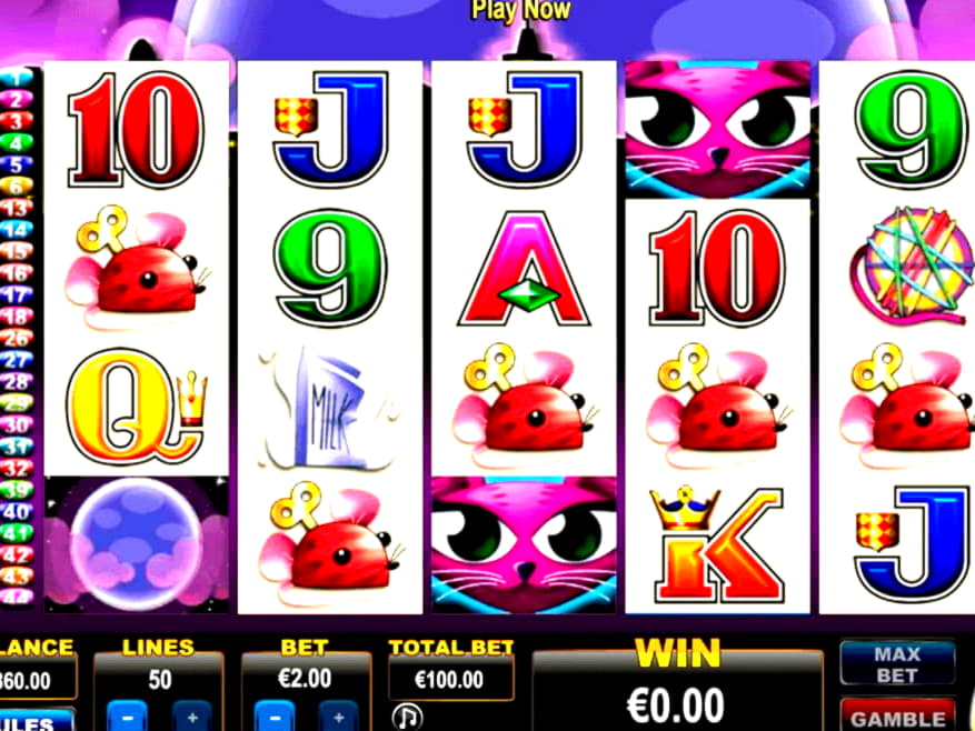 50 free spins no deposit at Spin Palace Casino