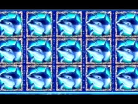 220 Free spins no deposit at Platinum Play Casino