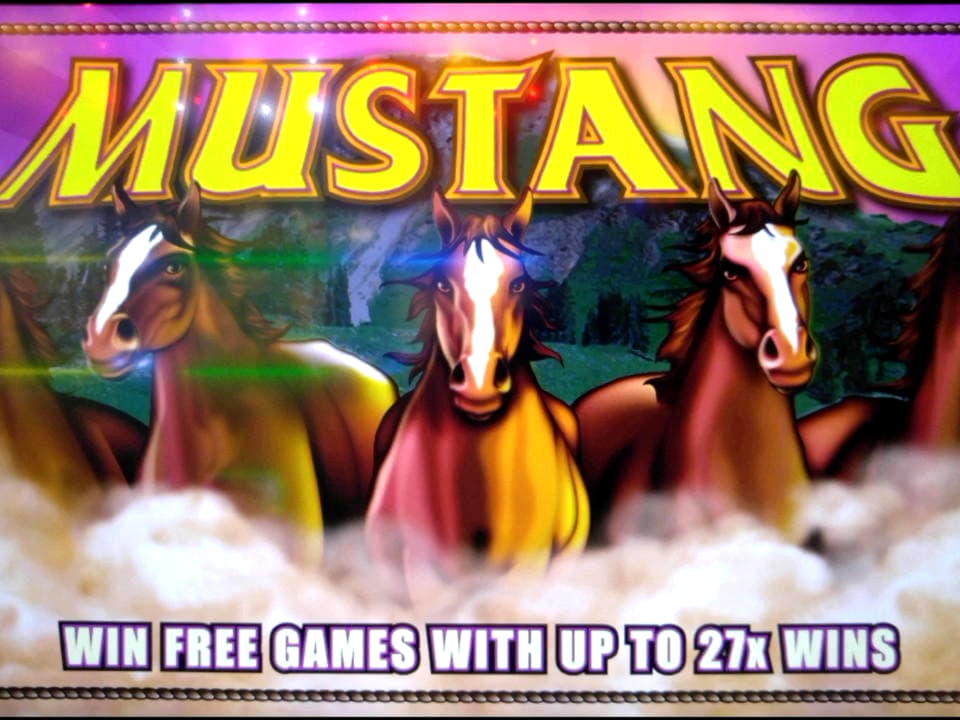 €895 Online Casino Tournament at 777 Casino