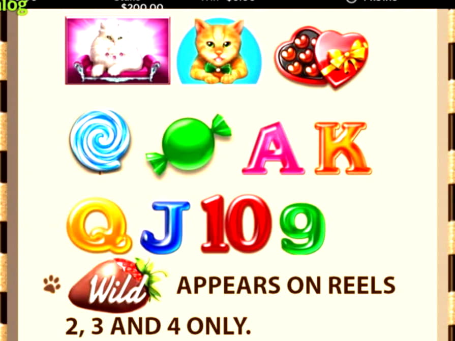 £1715 NO DEPOSIT BONUS at Wish Maker Casino