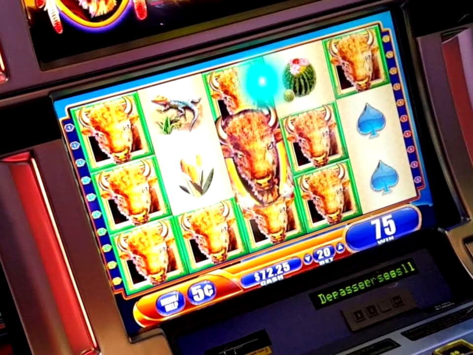 225 Free Spins Casino at Estonia Casino 