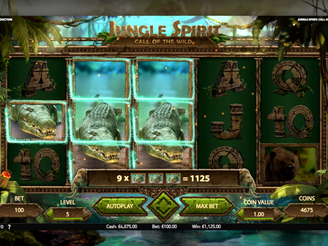 $3000 No deposit at Oshi Casino