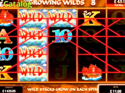 $510 Casino tournaments freeroll at Casino Cruise
