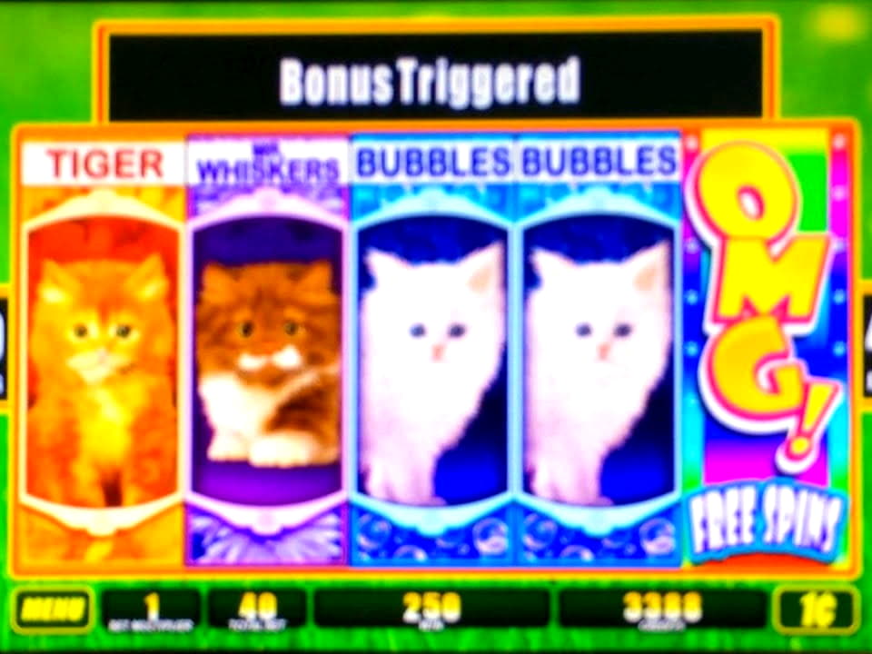 EURO 1790 NO DEPOSIT CASINO BONUS at Oshi Casino