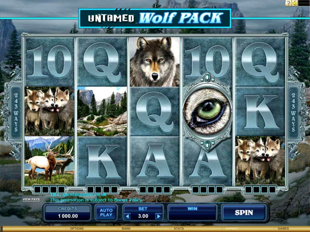 40 FREE Spins at Bet Hard Casino