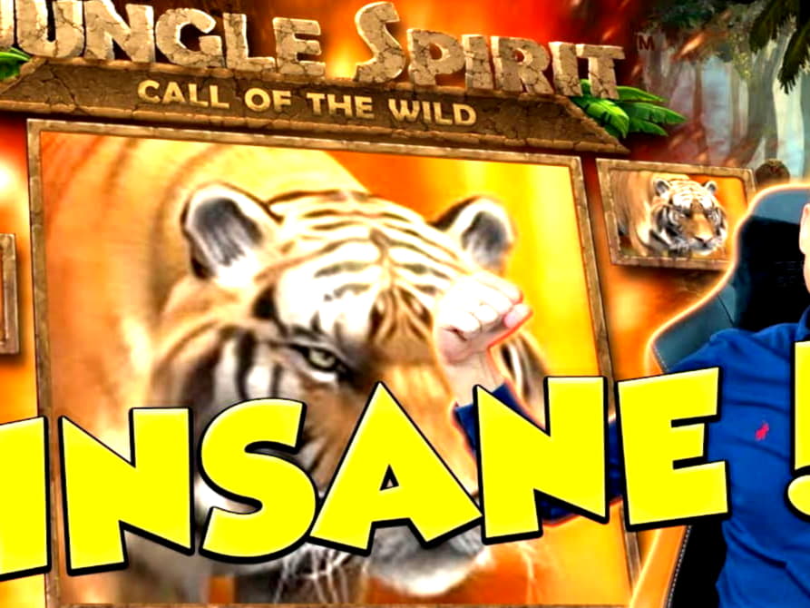 €990 Daily freeroll slot tournament at bWin Casino