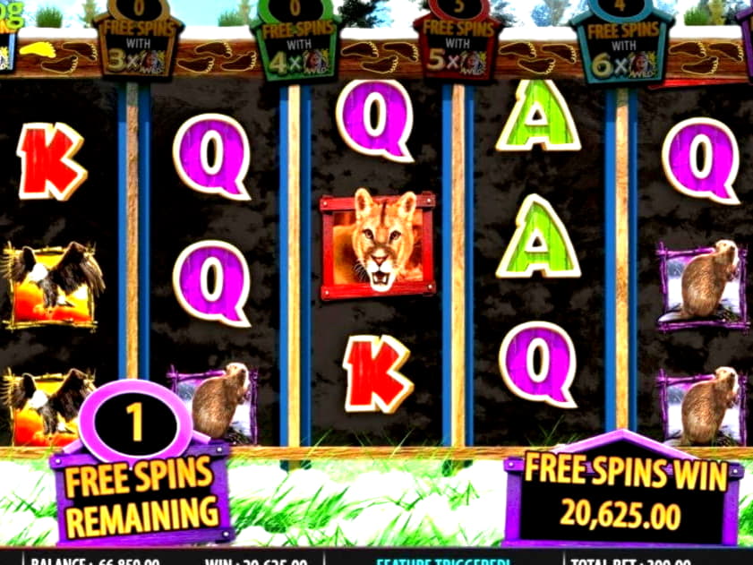 $780 Mobile freeroll slot tournament at 888 Casino