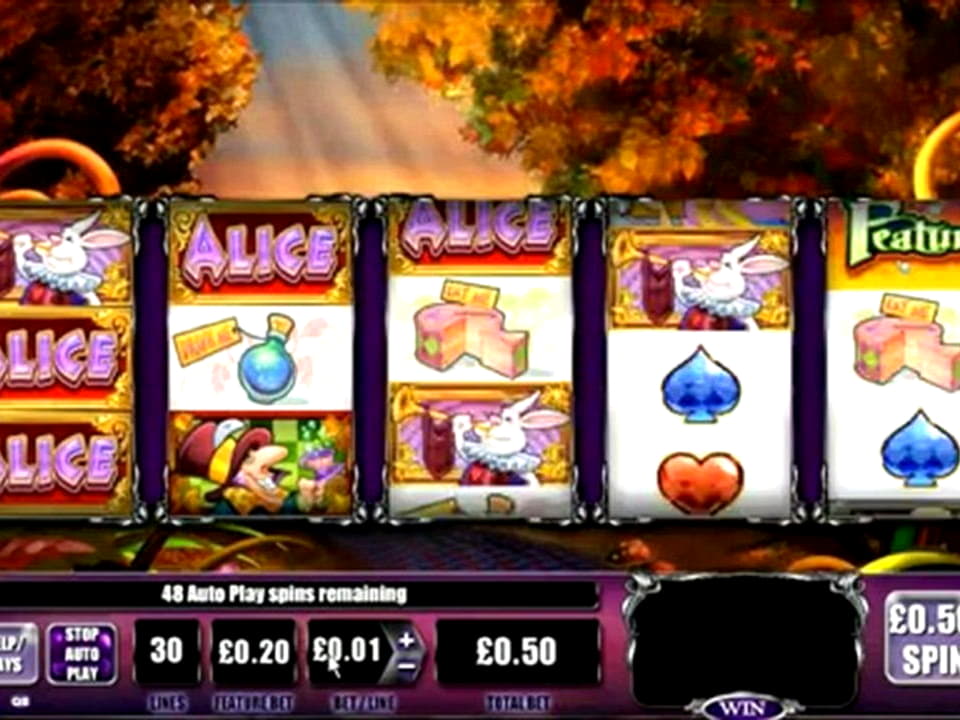 €222 Free Chip Casino at Dunder Casino