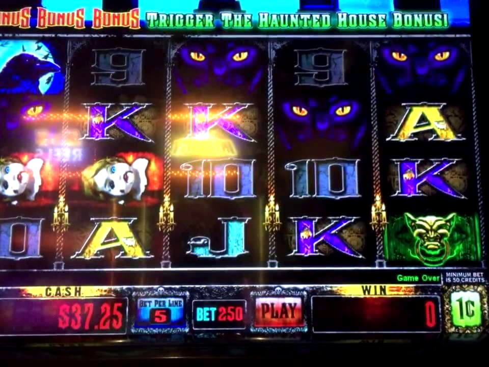 40 Free Spins no deposit at Rizk Casino