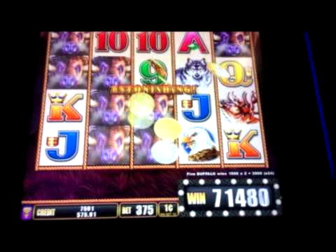 320% No Rules Bonus! at Spin Palace Casino