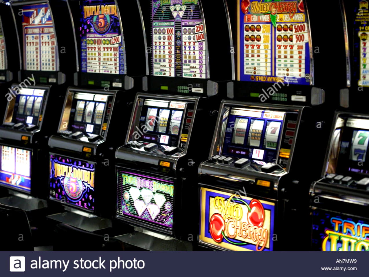 EUR 2750 NO DEPOSIT BONUS CASINO at Bet Hard Casino