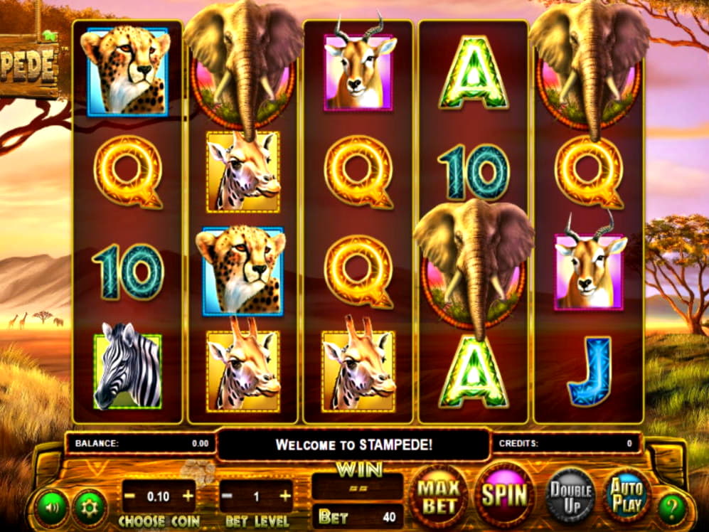 Eur 540 Free chip casino at Platinum Play Casino