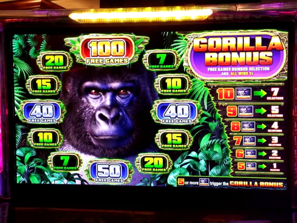 205% Match bonus casino at Platinum Play Casino