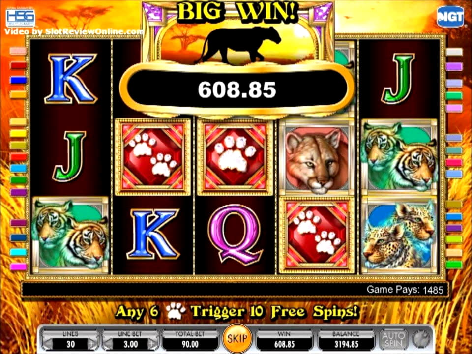€1985 No Deposit at bWin Casino
